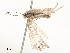  ( - CBG-A54383-B09)  @11 [ ] CreativeCommons - Attribution Share - Alike (2025) CBG Photography Group Centre for Biodiversity Genomics