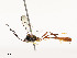  ( - CBG-A54383-C11)  @11 [ ] CreativeCommons - Attribution Share - Alike (2025) CBG Photography Group Centre for Biodiversity Genomics