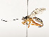  ( - CBG-A54385-A05)  @11 [ ] CreativeCommons - Attribution Share - Alike (2024) CBG Photography Group Centre for Biodiversity Genomics