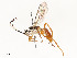  ( - CBG-A54459-G01)  @11 [ ] CreativeCommons - Attribution Share - Alike (2024) CBG Photography Group Centre for Biodiversity Genomics
