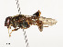  ( - CBG-A54460-A04)  @11 [ ] CreativeCommons - Attribution Share - Alike (2024) CBG Photography Group Centre for Biodiversity Genomics