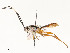  ( - CBG-A54460-E04)  @11 [ ] CreativeCommons - Attribution Share - Alike (2024) CBG Photography Group Centre for Biodiversity Genomics