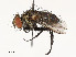  ( - CBG-A54461-A05)  @11 [ ] CreativeCommons - Attribution Share - Alike (2024) CBG Photography Group Centre for Biodiversity Genomics