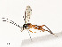  ( - CBG-A54462-A06)  @11 [ ] CreativeCommons - Attribution Share - Alike (2024) CBG Photography Group Centre for Biodiversity Genomics
