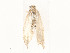  ( - CBG-A54463-E10)  @11 [ ] CreativeCommons - Attribution Share - Alike (2025) CBG Photography Group Centre for Biodiversity Genomics