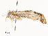  ( - CBG-A58593-E07)  @11 [ ] CreativeCommons - Attribution Share - Alike (2024) CBG Photography Group Centre for Biodiversity Genomics