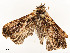  ( - CBG-A58594-E12)  @11 [ ] CreativeCommons - Attribution Share - Alike (2024) CBG Photography Group Centre for Biodiversity Genomics
