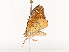  ( - CBG-A54384-B07)  @11 [ ] CreativeCommons - Attribution Share - Alike (2025) CBG Photography Group Centre for Biodiversity Genomics
