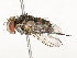 ( - CBG-A58600-D01)  @11 [ ] CreativeCommons - Attribution Share - Alike (2025) CBG Photography Group Centre for Biodiversity Genomics