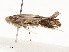  ( - CBG-A58600-E02)  @11 [ ] CreativeCommons - Attribution Share - Alike (2025) CBG Photography Group Centre for Biodiversity Genomics