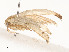  ( - CBG-A58600-E12)  @11 [ ] CreativeCommons - Attribution Share - Alike (2025) CBG Photography Group Centre for Biodiversity Genomics