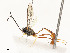  ( - CBG-A58617-D08)  @11 [ ] CreativeCommons - Attribution Share - Alike (2025) CBG Photography Group Centre for Biodiversity Genomics