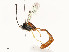  ( - CBG-A58617-D09)  @11 [ ] CreativeCommons - Attribution Share - Alike (2025) CBG Photography Group Centre for Biodiversity Genomics