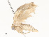  ( - CBG-A58617-D12)  @11 [ ] CreativeCommons - Attribution Share - Alike (2025) CBG Photography Group Centre for Biodiversity Genomics