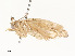  ( - CBG-A58617-E06)  @11 [ ] CreativeCommons - Attribution Share - Alike (2025) CBG Photography Group Centre for Biodiversity Genomics