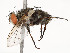  ( - CBG-A58690-B01)  @11 [ ] CreativeCommons - Attribution Share - Alike (2025) CBG Photography Group Centre for Biodiversity Genomics