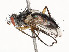  ( - CBG-A58690-B02)  @11 [ ] CreativeCommons - Attribution Share - Alike (2025) CBG Photography Group Centre for Biodiversity Genomics