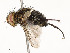  ( - CBG-A58690-D12)  @11 [ ] CreativeCommons - Attribution Share - Alike (2025) CBG Photography Group Centre for Biodiversity Genomics