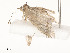  ( - CBG-A58705-B08)  @11 [ ] CreativeCommons - Attribution Share - Alike (2025) CBG Photography Group Centre for Biodiversity Genomics
