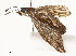  ( - CBG-A58705-B09)  @11 [ ] CreativeCommons - Attribution Share - Alike (2025) CBG Photography Group Centre for Biodiversity Genomics