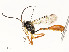  ( - CBG-A58705-F08)  @11 [ ] CreativeCommons - Attribution Share - Alike (2025) CBG Photography Group Centre for Biodiversity Genomics