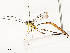  ( - CBG-A58705-F11)  @11 [ ] CreativeCommons - Attribution Share - Alike (2025) CBG Photography Group Centre for Biodiversity Genomics