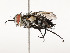  ( - CBG-A58706-A12)  @11 [ ] CreativeCommons - Attribution Share - Alike (2025) CBG Photography Group Centre for Biodiversity Genomics