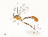  ( - CBG-A58706-D08)  @11 [ ] CreativeCommons - Attribution Share - Alike (2025) CBG Photography Group Centre for Biodiversity Genomics