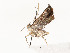  ( - CBG-A59477-B01)  @11 [ ] CreativeCommons - Attribution Share - Alike (2025) CBG Photography Group Centre for Biodiversity Genomics