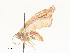  ( - CBG-A59477-B07)  @11 [ ] CreativeCommons - Attribution Share - Alike (2025) CBG Photography Group Centre for Biodiversity Genomics