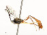  ( - CBG-A59477-E08)  @11 [ ] CreativeCommons - Attribution Share - Alike (2025) CBG Photography Group Centre for Biodiversity Genomics