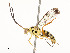  ( - CBG-A59477-E11)  @11 [ ] CreativeCommons - Attribution Share - Alike (2025) CBG Photography Group Centre for Biodiversity Genomics