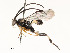  ( - CBG-A59477-F10)  @11 [ ] CreativeCommons - Attribution Share - Alike (2025) CBG Photography Group Centre for Biodiversity Genomics