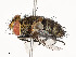  ( - CBG-A59477-H01)  @11 [ ] CreativeCommons - Attribution Share - Alike (2025) CBG Photography Group Centre for Biodiversity Genomics