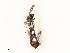  ( - CBG-A59477-H11)  @11 [ ] CreativeCommons - Attribution Share - Alike (2025) CBG Photography Group Centre for Biodiversity Genomics
