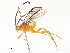  ( - CBG-A59479-E06)  @11 [ ] CreativeCommons - Attribution Share - Alike (2025) CBG Photography Group Centre for Biodiversity Genomics