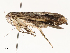  ( - CBG-A59480-A12)  @11 [ ] CreativeCommons - Attribution Share - Alike (2025) CBG Photography Group Centre for Biodiversity Genomics
