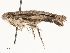  ( - CBG-A59480-B04)  @11 [ ] CreativeCommons - Attribution Share - Alike (2025) CBG Photography Group Centre for Biodiversity Genomics