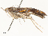  ( - CBG-A59480-C10)  @11 [ ] CreativeCommons - Attribution Share - Alike (2025) CBG Photography Group Centre for Biodiversity Genomics