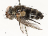  ( - CBG-A59480-H03)  @11 [ ] CreativeCommons - Attribution Share - Alike (2025) CBG Photography Group Centre for Biodiversity Genomics