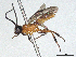  ( - CBG-A13332-B09)  @11 [ ] CreativeCommons - Attribution Share - Alike (2023) CBG Photography Group Centre for Biodiversity Genomics
