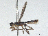  ( - CBG-A13332-B10)  @11 [ ] CreativeCommons - Attribution Share - Alike (2023) CBG Photography Group Centre for Biodiversity Genomics
