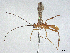  ( - CBG-A13333-F07)  @11 [ ] CreativeCommons - Attribution Share - Alike (2023) CBG Photography Group Centre for Biodiversity Genomics