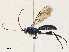  ( - CBG-A30024-C02)  @11 [ ] CreativeCommons - Attribution Share - Alike (2024) CBG Photography Group Centre for Biodiversity Genomics