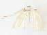  ( - CBG-A30024-D10)  @11 [ ] CreativeCommons - Attribution Share - Alike (2024) CBG Photography Group Centre for Biodiversity Genomics