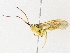  ( - CBG-A30024-F10)  @11 [ ] CreativeCommons - Attribution Share - Alike (2024) CBG Photography Group Centre for Biodiversity Genomics
