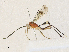  ( - CBG-A30062-H02)  @11 [ ] CreativeCommons - Attribution Share - Alike (2024) CBG Photography Group Centre for Biodiversity Genomics