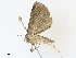  ( - CBG-A30063-B12)  @11 [ ] CreativeCommons - Attribution Share - Alike (2024) CBG Photography Group Centre for Biodiversity Genomics