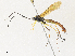  ( - CBG-A30063-E06)  @11 [ ] CreativeCommons - Attribution Share - Alike (2024) CBG Photography Group Centre for Biodiversity Genomics