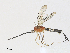  ( - CBG-A30063-F04)  @11 [ ] CreativeCommons - Attribution Share - Alike (2024) CBG Photography Group Centre for Biodiversity Genomics